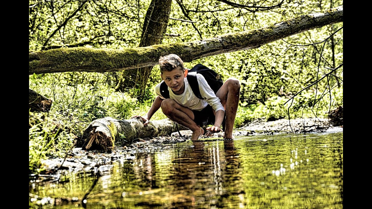 Bachwanderung am Sigr&uuml;ner Bach