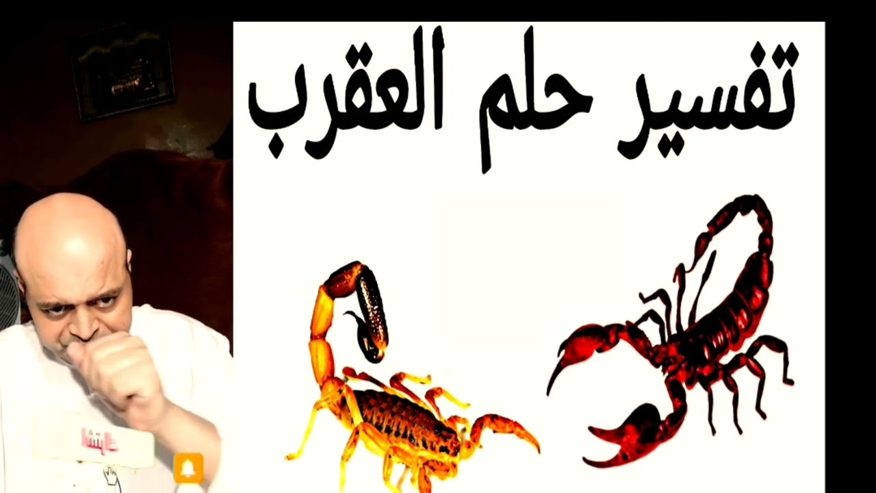 تفسير رؤية العقرب في المنام 