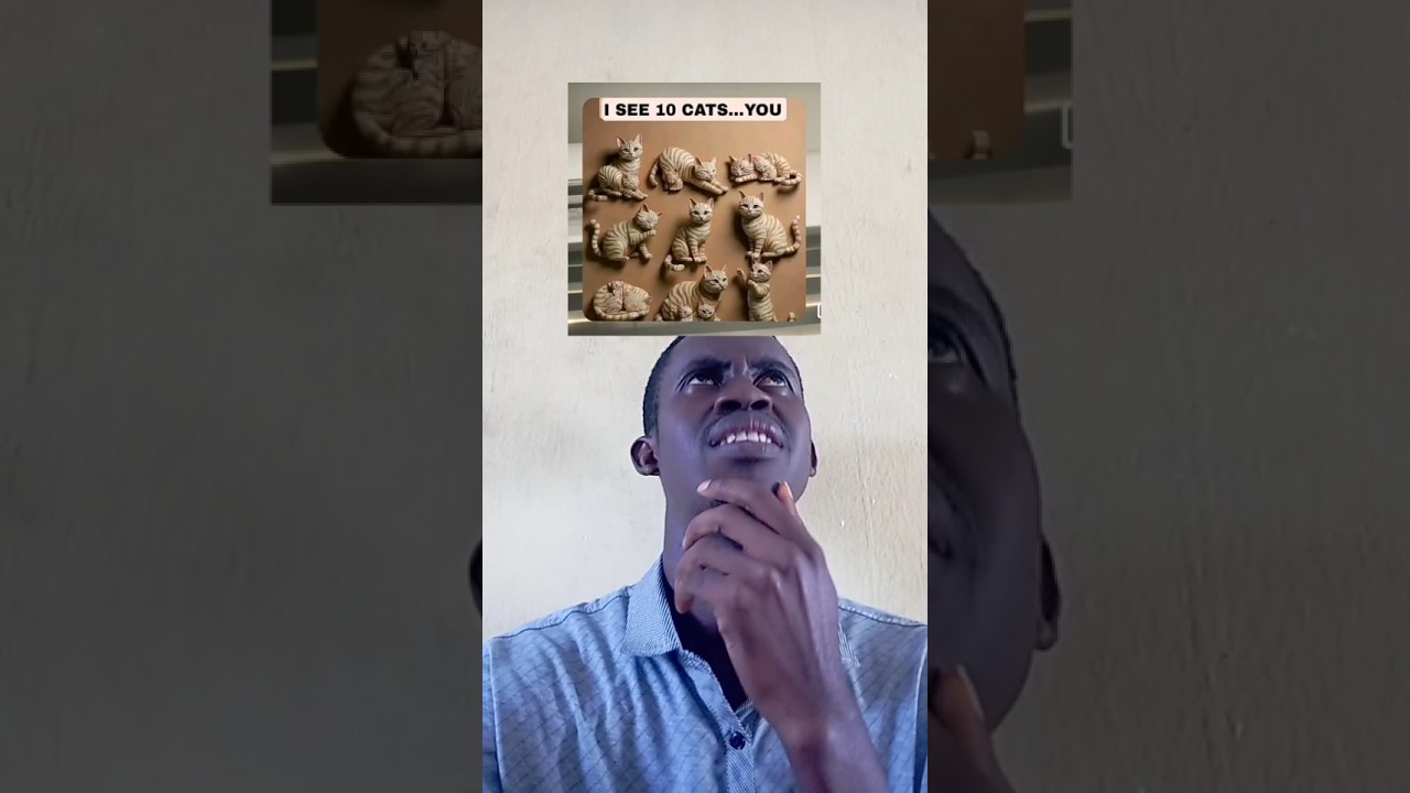 funny videos 