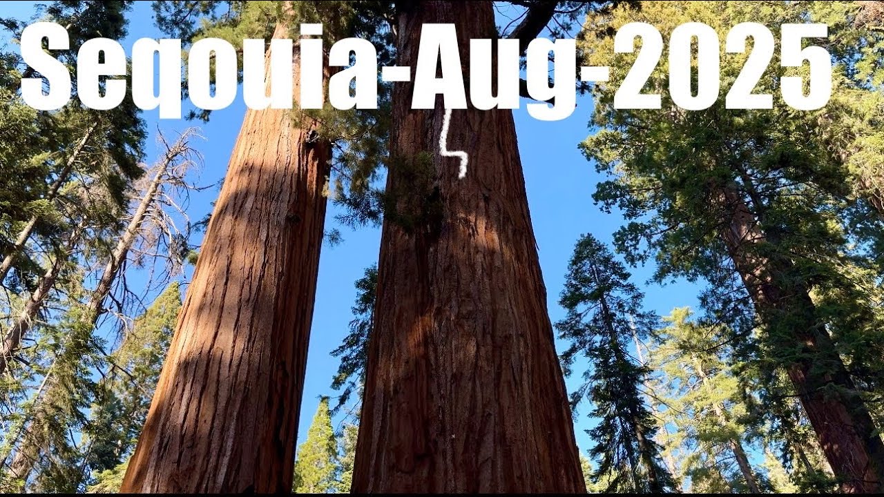 ❌Vlog-Vacanta la Seqouia 2-Aug-2025‼️ Ionica Ardeleanu!!