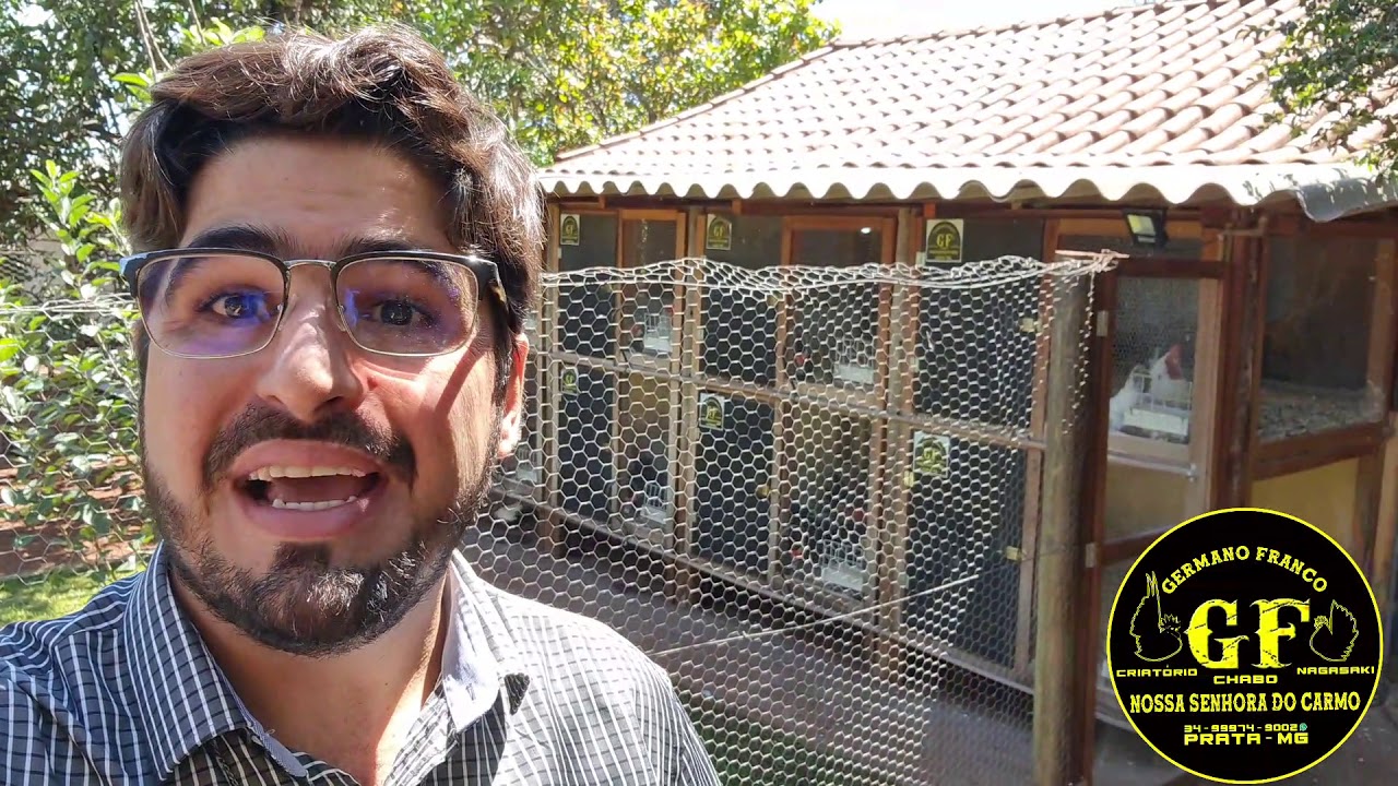 ATUALIZAÇÃO DO CRIATÓRIO, PARTE SANITÁRIA, MENSAGEM NO FINAL E FOTOS DE ALGUMAS AVES DO CRIATÓRIO🙏🙏🙌