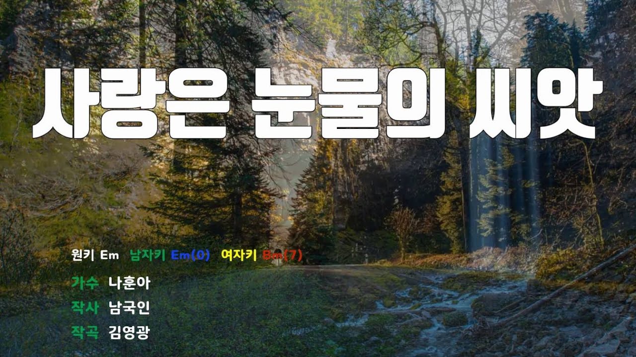 [은성 반주기] 사랑은눈물의씨앗 - 나훈아