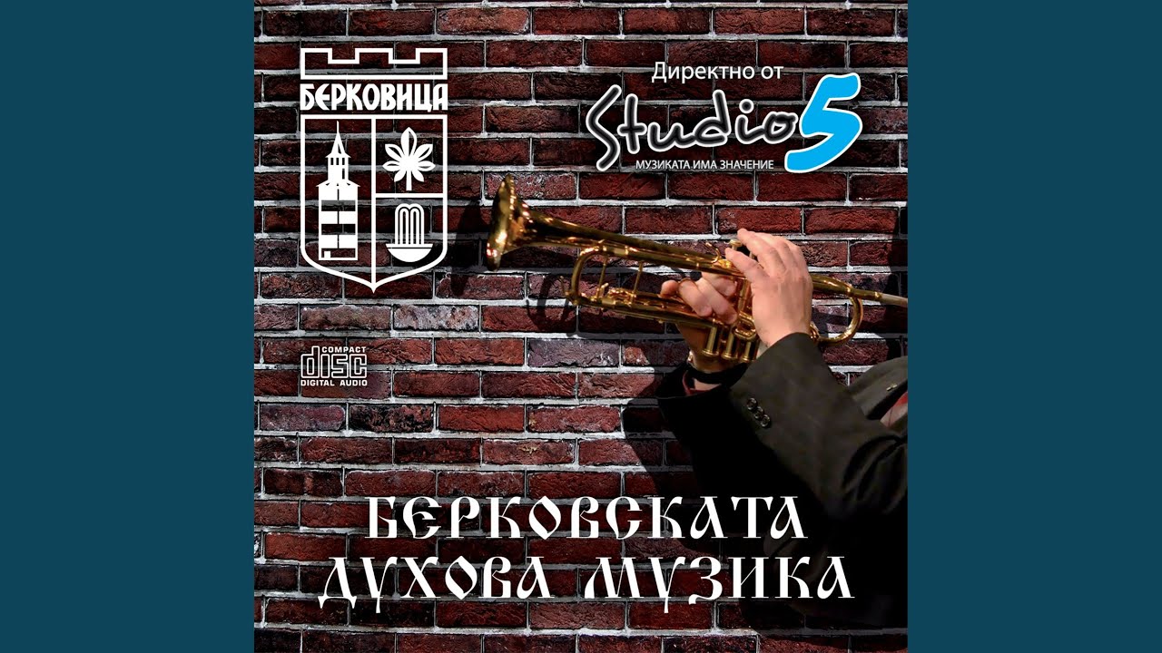 Дайчово хоро (Instumental)