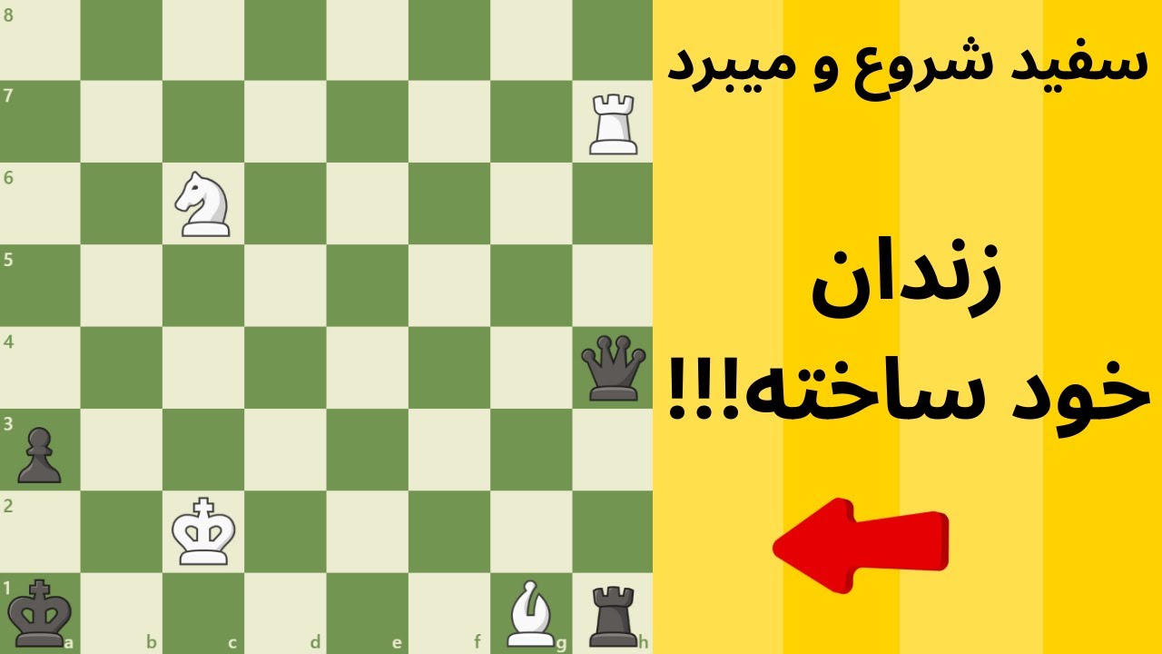 !!!سفید شروع و میبرد،،، زندان خود ساخته l White Wins, Selfmade Jail