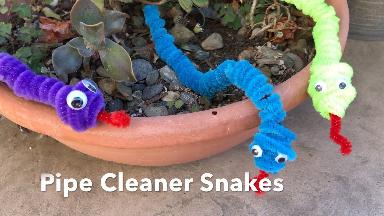 Pipe Cleaner Snake