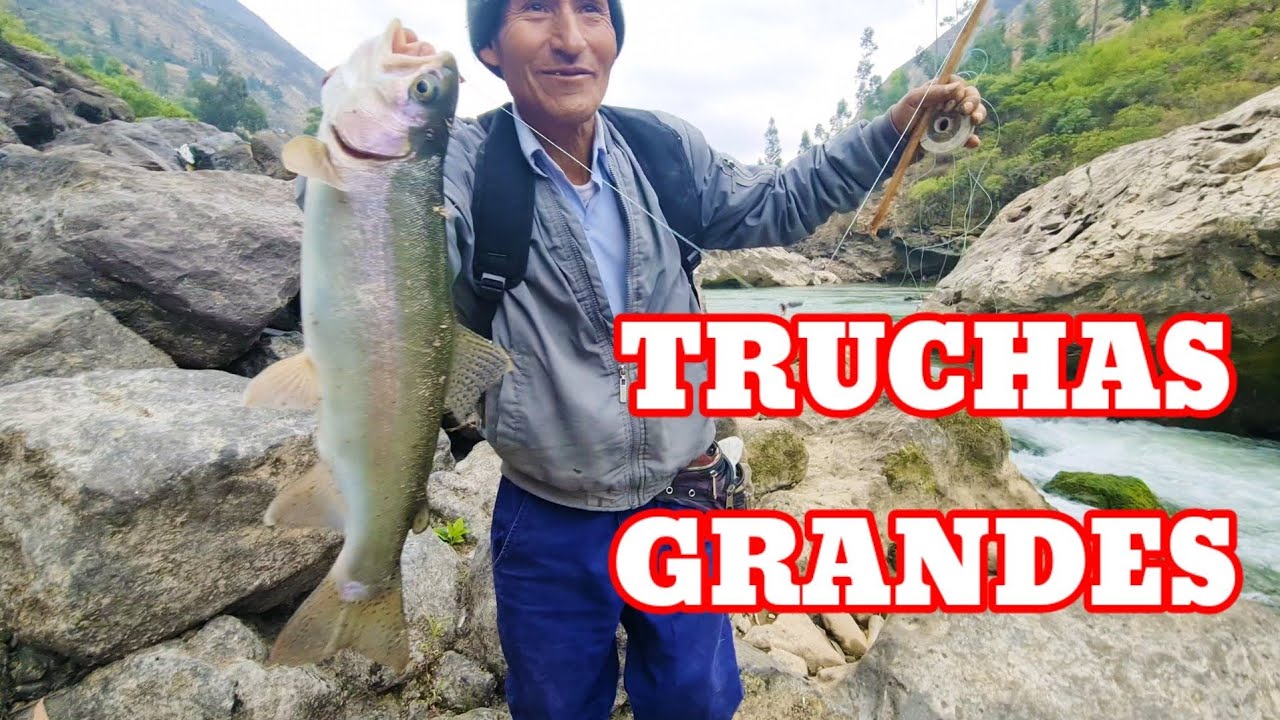 PESCA de TRUCHAS GRANDES _  big trout fishing