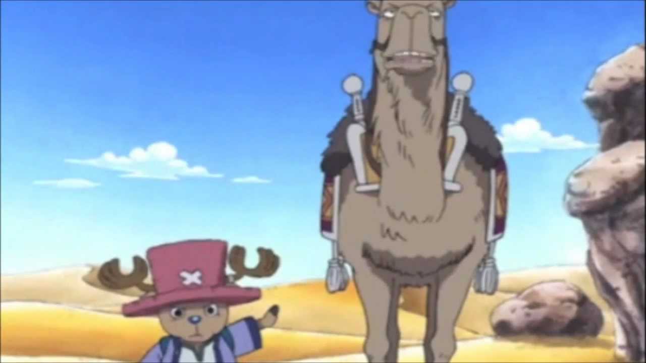 One Piece : Pervert Camel
