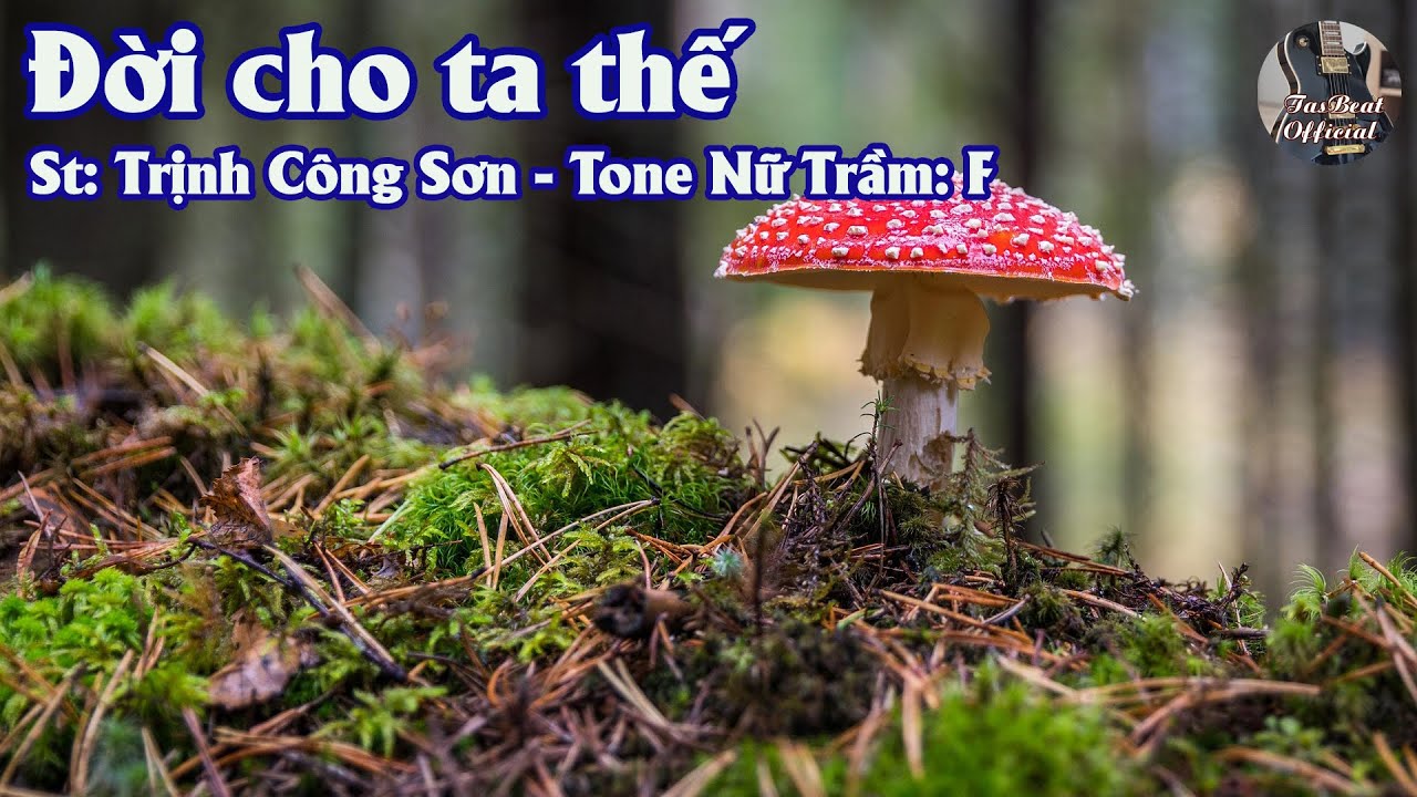 Karaoke Đời Cho Ta Thế Tone Nữ Trầm | TAS BEAT