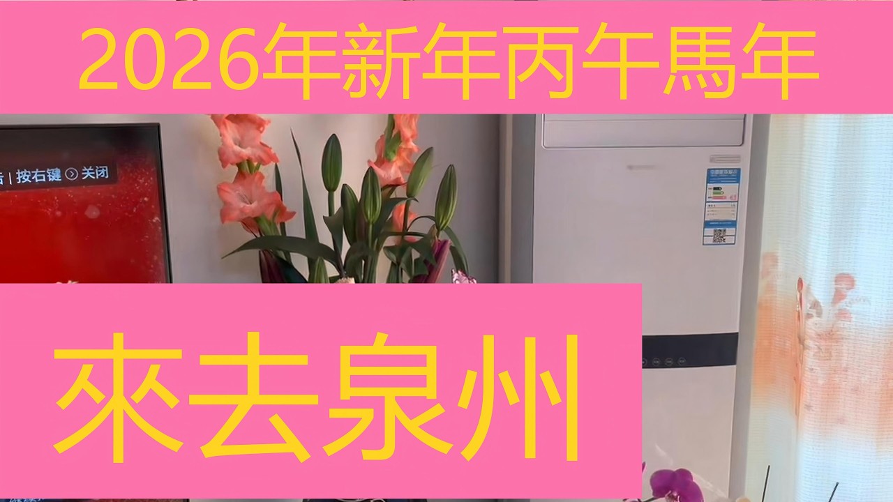 2026年新年丙午馬年  ｜來去泉州 ｜有錢沒錢回家過年 ｜回家看看我的父老鄉親 ｜#福建 #泉州 #新年 #丙午年 #馬年