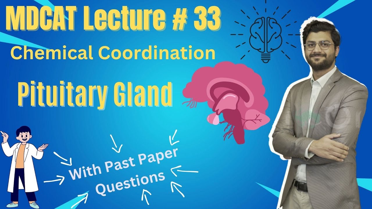 33-Chemical Coordination - Pituitary Gland | MDCAT Series | Lecture # 33