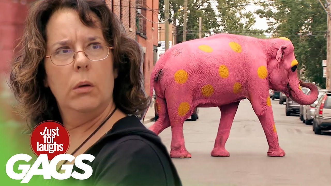Producer's Choice - Best Of Just For Laughs Gags