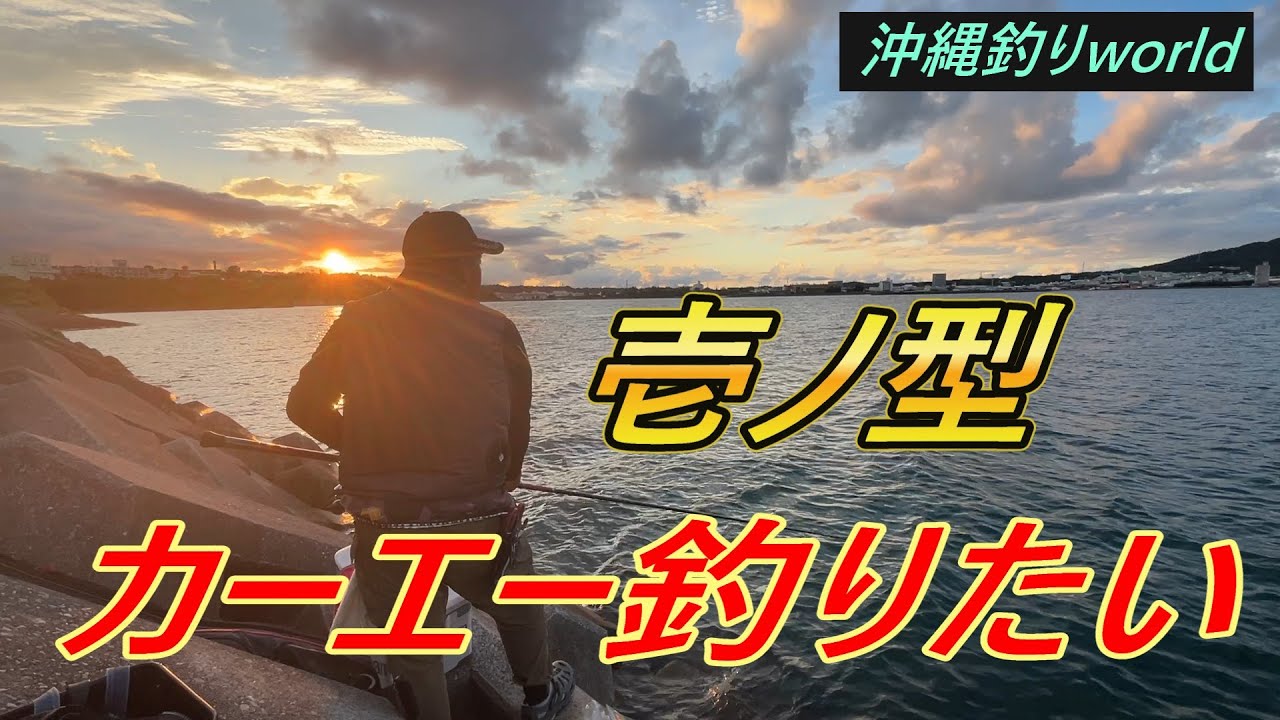 カーエーチャレンジ！【沖縄フカセ釣り】（１００）