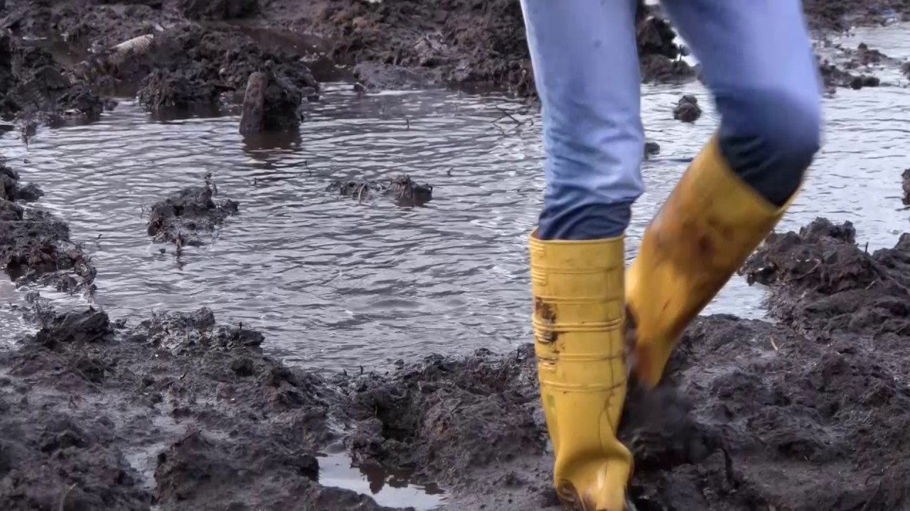 Exploring that new cleared muddy area, part 1