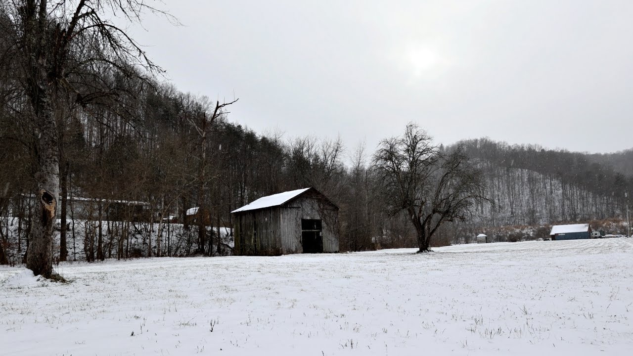 A Winter Day in Kentucky