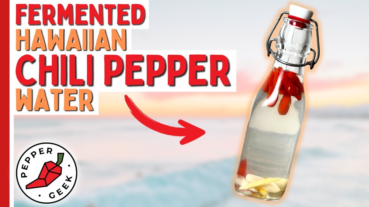 Fermented Hawaiian Chili Pepper Water Recipe - Pepper Geek