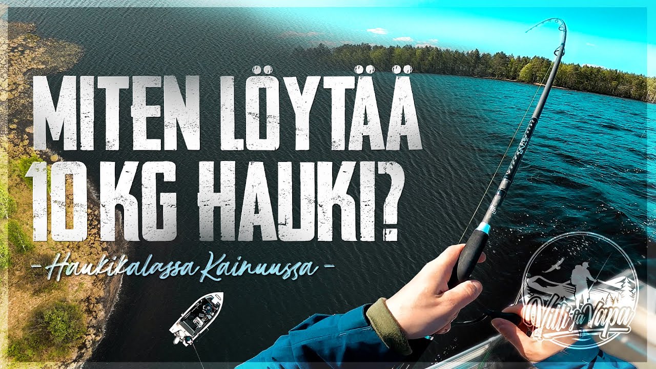 Miten löytää 10 KG HAUKI? – Haukikalassa Kainuussa ft. Veikka Kauhanen | VILLI JA VAPA #5