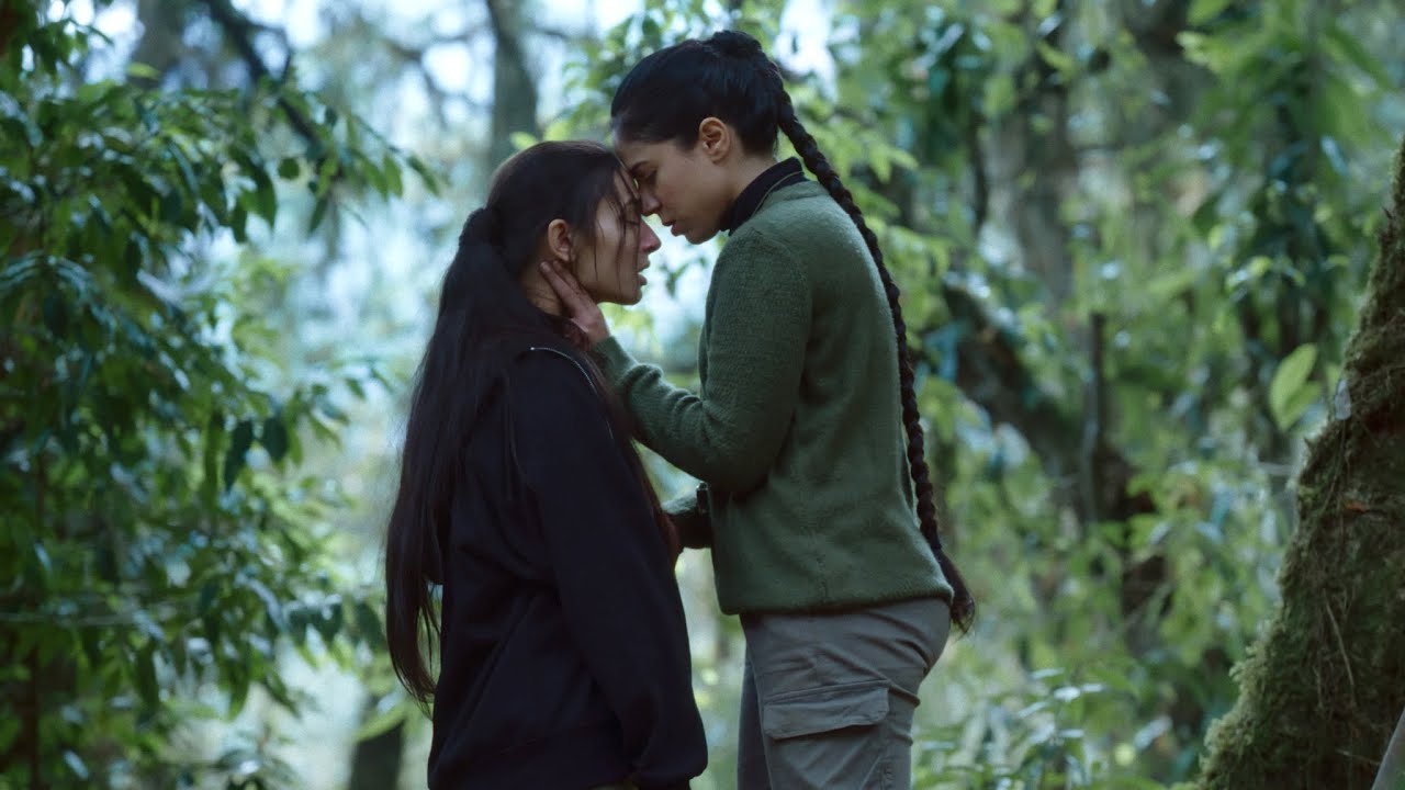 Bokshi &ndash; trailer | IFFR 2025