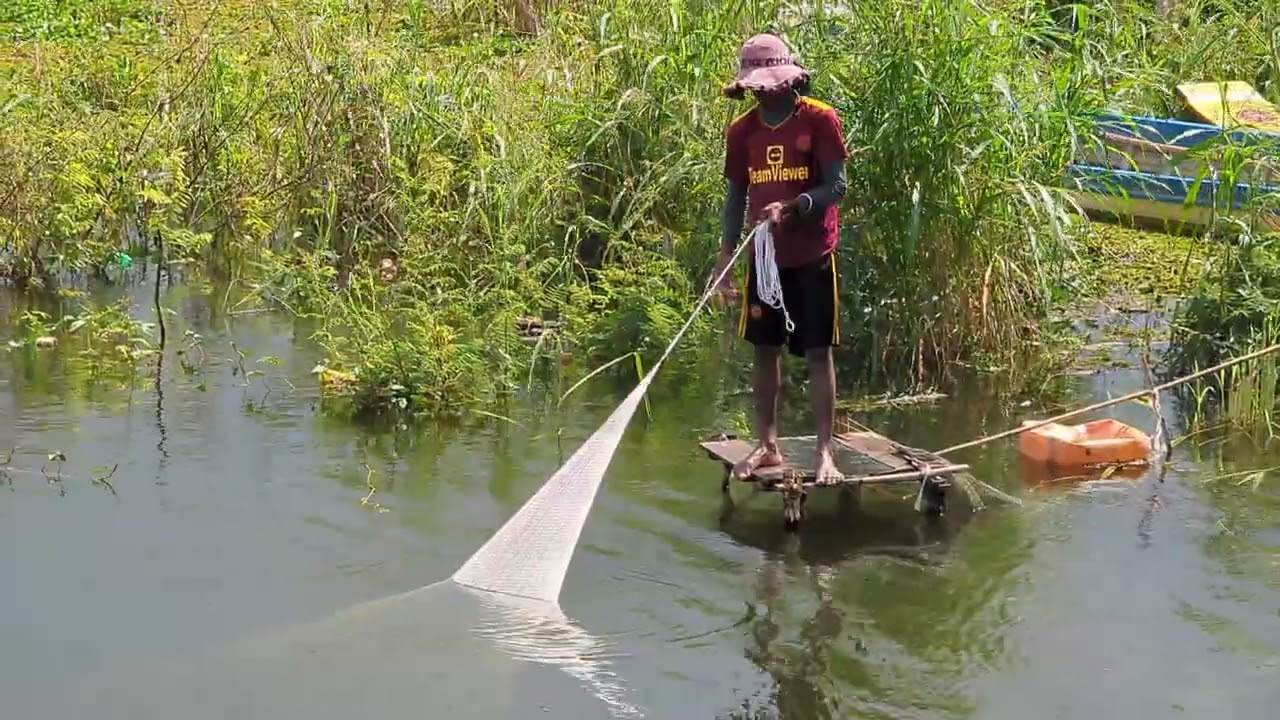 Fishing traditional technique #fishing #travel #catchingfish #catchfishtechnique