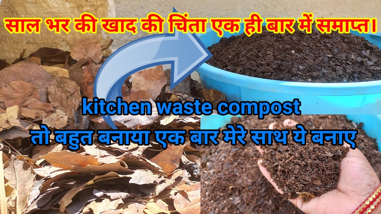 Leaf compost। पत्तियों की खाद घर पर बनाए कम समय में ।Quick and Easy method#leafcompost#blackgold