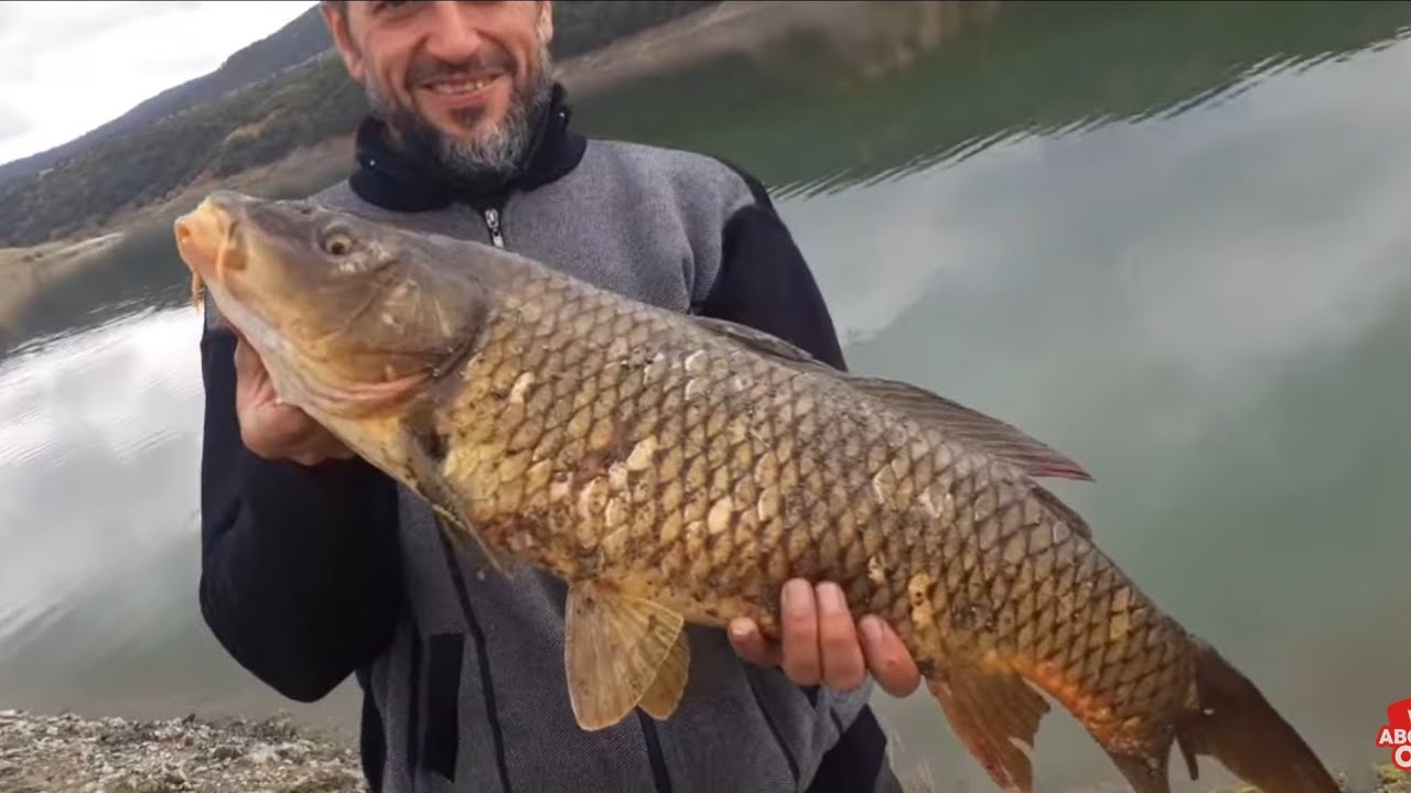 #fish#keşfet #huzur#kamp#carpfishing #carpfish ESIMLE GINE BOL AKSIYONLU 2 GUNLUK BALIK KAMPI YAPDIK