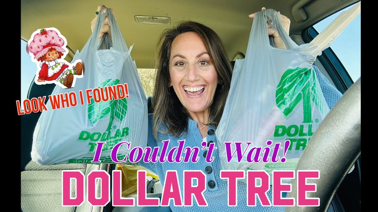 I Couldn’t Wait! DOLLAR TREE HAUL | Name Brand Items, Summer 2025 & ✨JACKPOT✨ Beauty Items!!