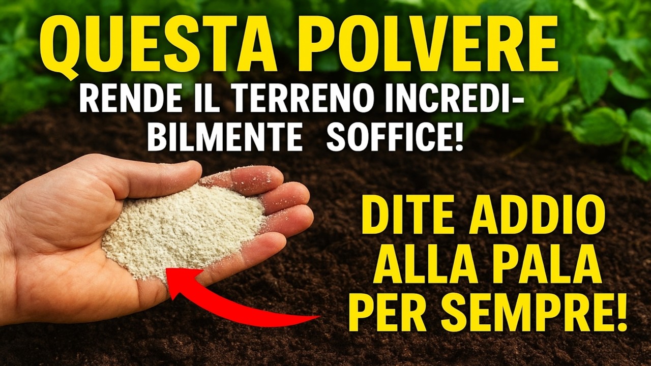 Il segreto dei giardinieri: Questa polvere rende il terreno incredibilmente soffice! 🤯 Dite addio