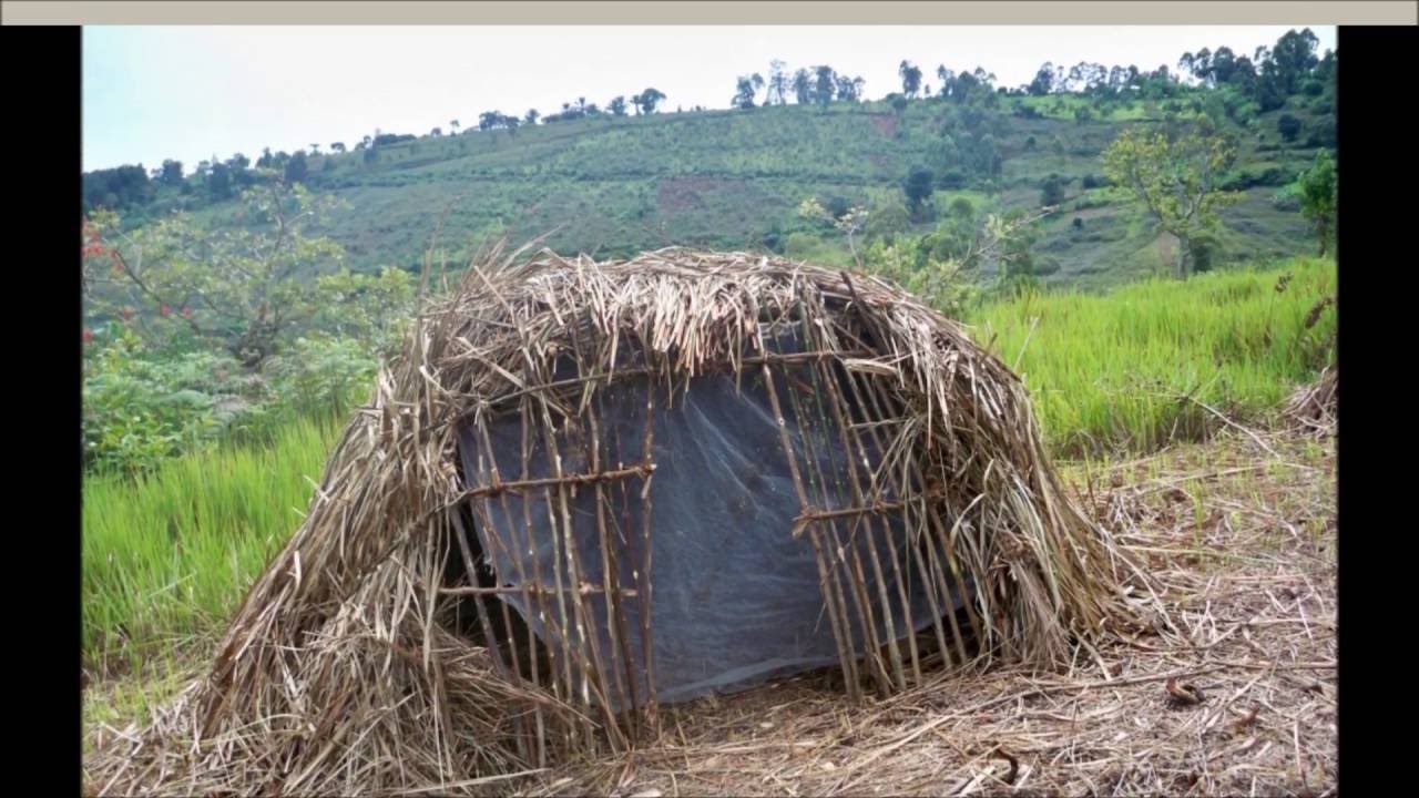 HOPE for the Forgotten Pygmies of Congo