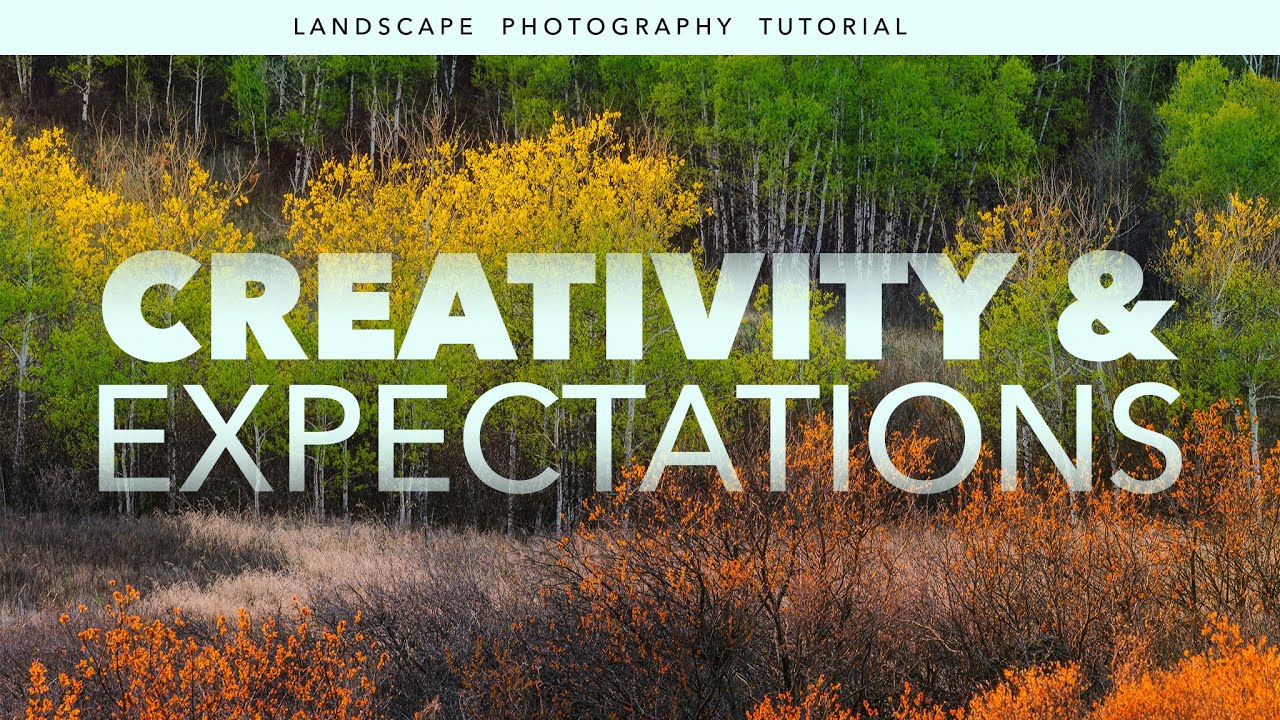 Improve The CREATIVITY of Your Landscape Photography When You Understand the Effect of Expectations