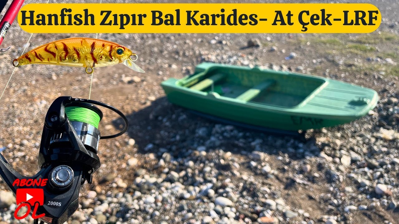 Hanfish Zıpır Bal Karides - At Çek - LRF #fishing #lrf #balık