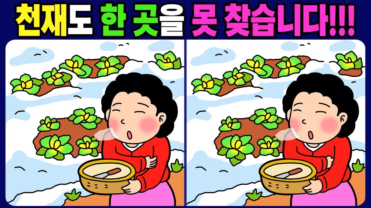 【다른그림찾기/치매예방】천재도 한 곳을 못 찾습니다! 틀린그림 3개 찾기 / 뇌운동【 find difference / 퀴즈 맞추기 / 차이점 찾기 게임 / No.1741】