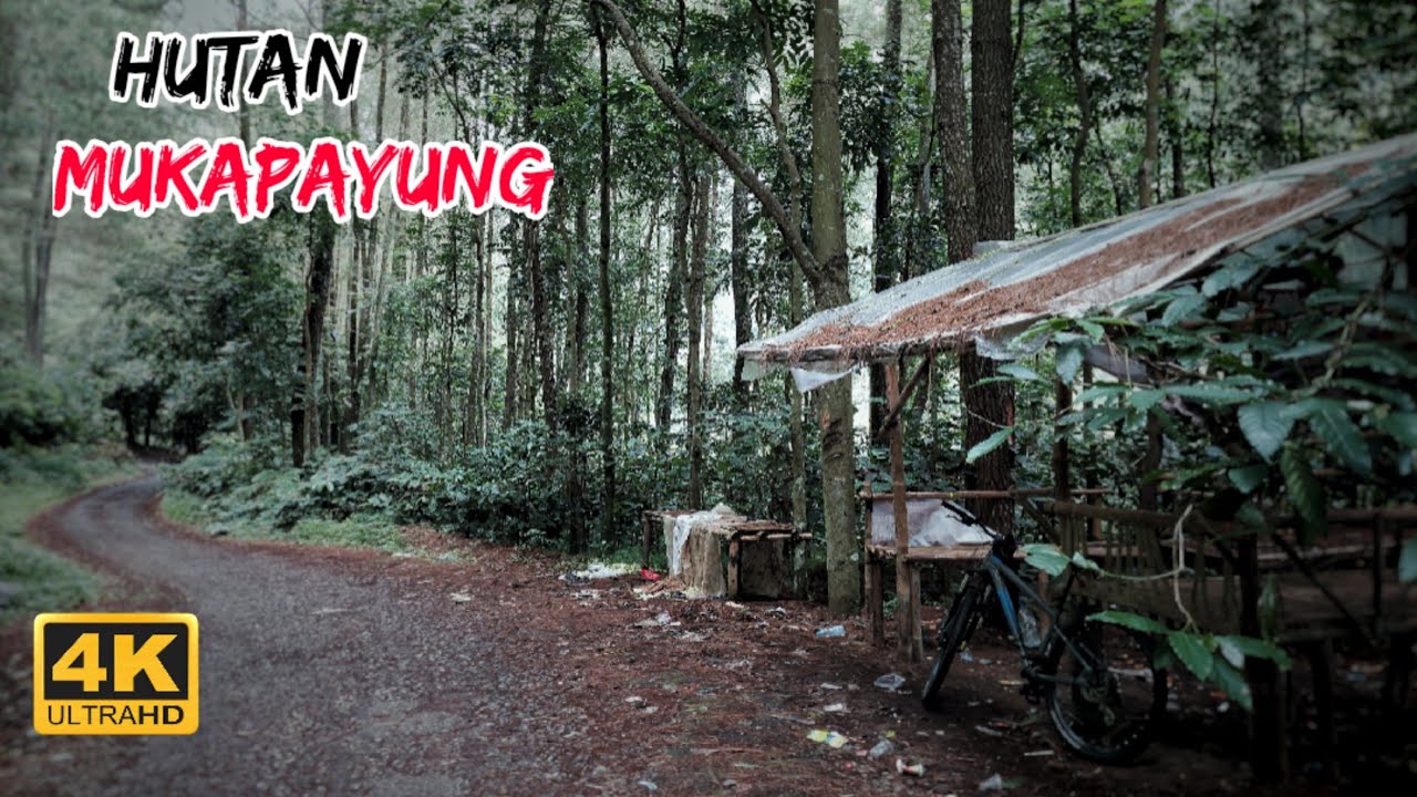 Rute Syahdu Mukapayung - Puncakmulya | Gowes Bandung Barat