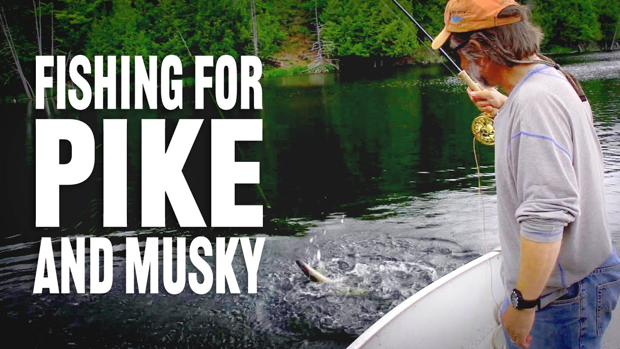 How to Fly Fish for Musky & Pike with Tom Rosenbauer