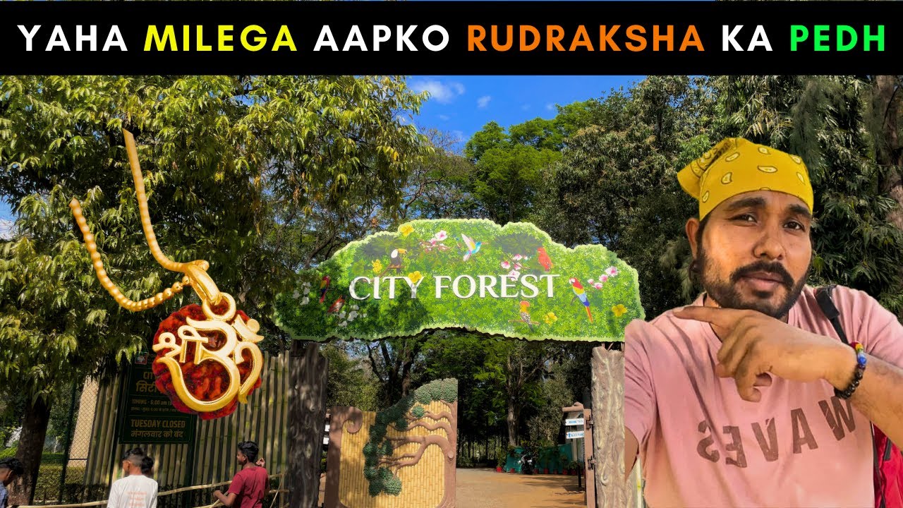 City Forest - Best place to visit in silvassa | Rwp Mehra
