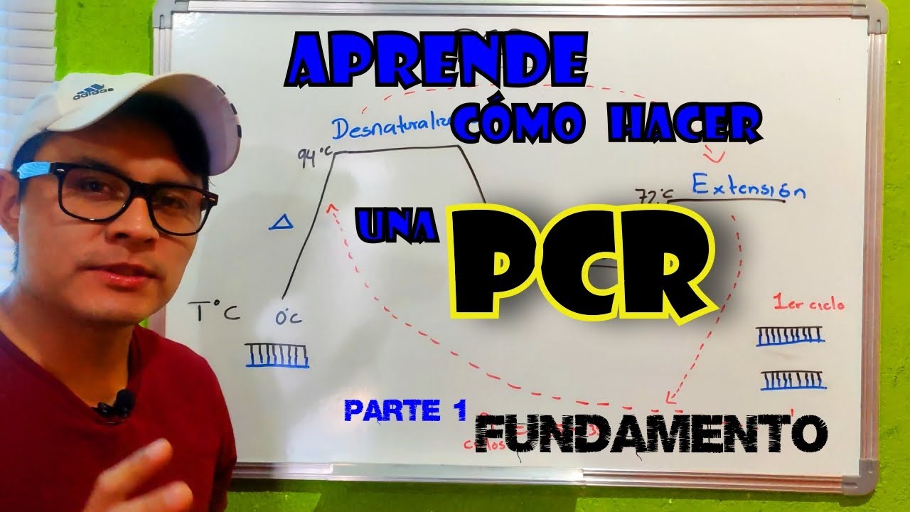 CÓMO HACER UNA PCR | PARTE 1 | FUNDAMENTO
