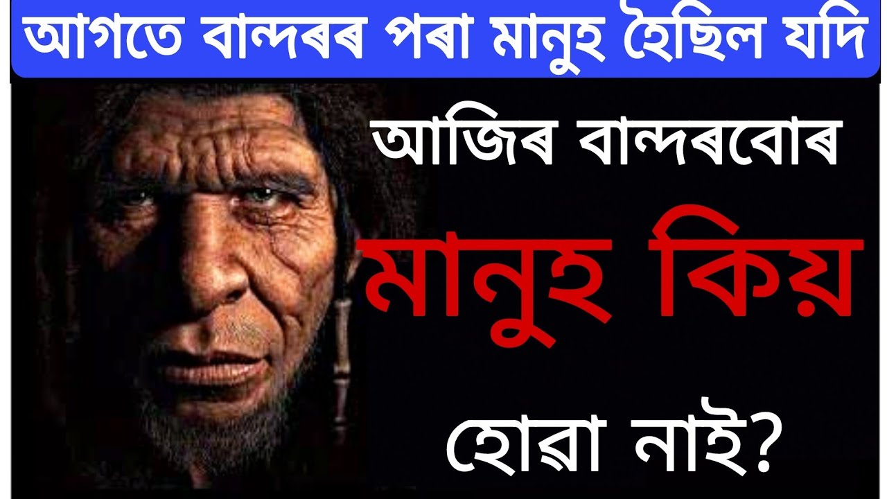 বান্দৰৰ পৰা মানুহ হোৱাৰ সম্পূৰ্ণ কাহিনী। THE UNTOLD STORY OF HUMAN EVOLUTION.