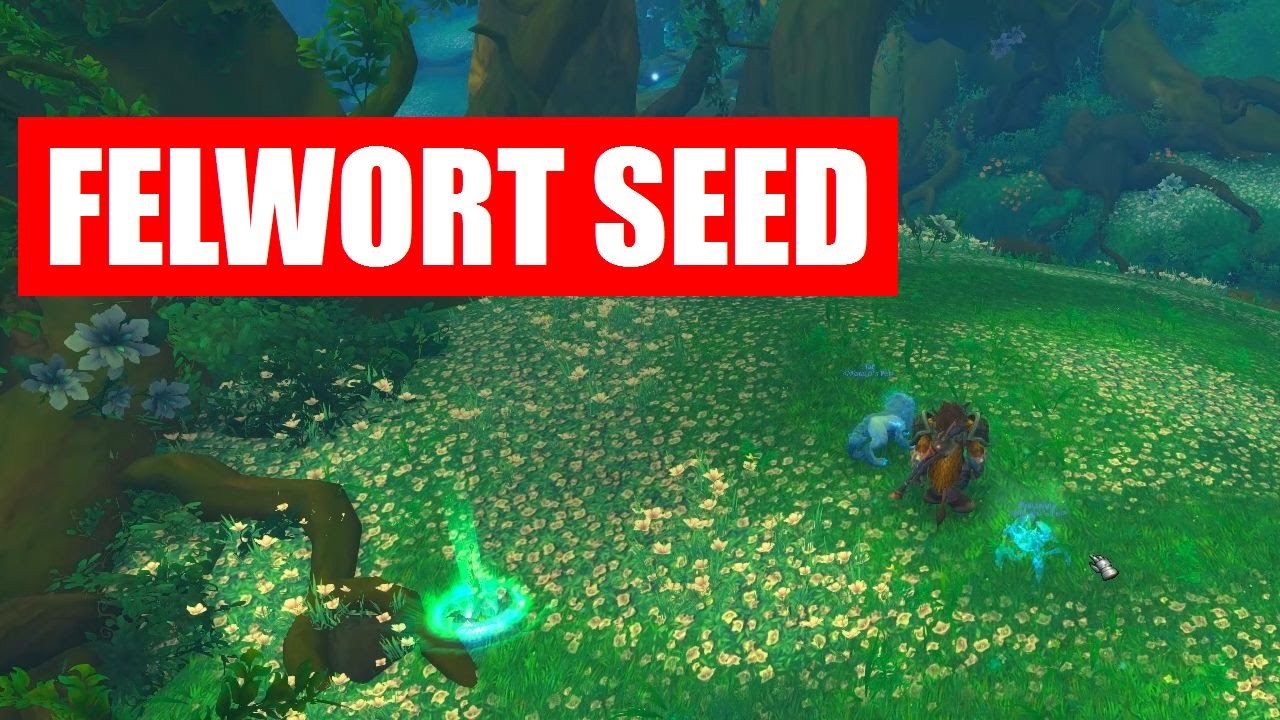 🔝 Felwort Seed - How to Plant - Location & Planting 🔝