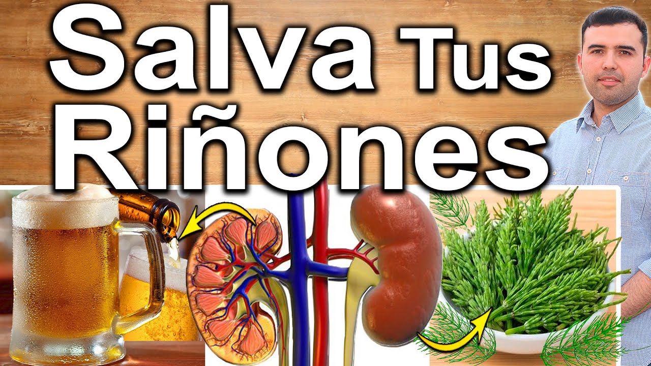 SALVA TUS RIÑONES - Como Cuidar Tus Riñones Para Que No Avance el Daño Renal