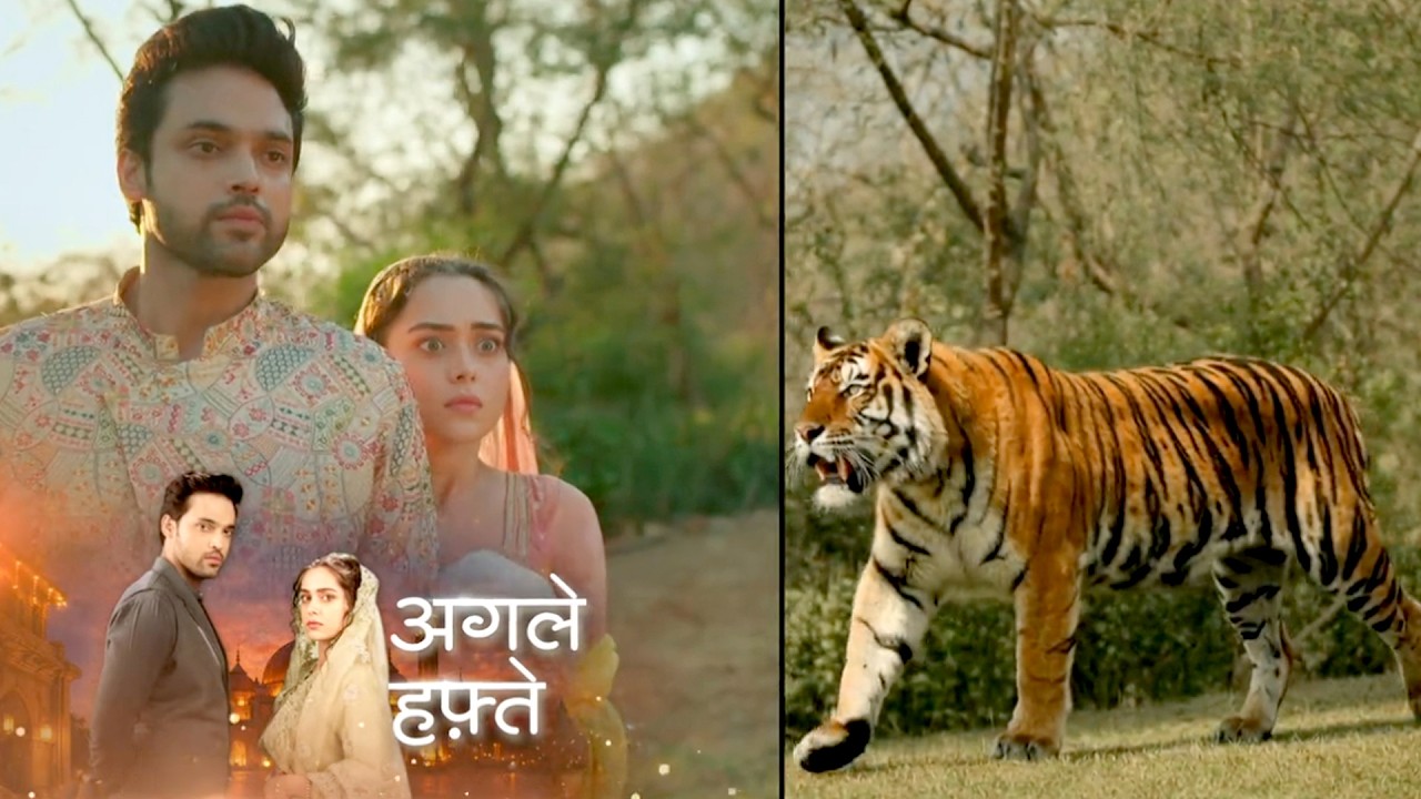 Seher Hone Ko Hai Update: Seher Karegi Jungli Podho Se Mahid Ka Ilaaz