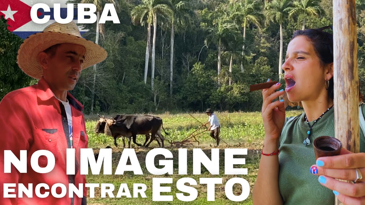 ENTRAMOS a una FÁBRICA de HABANOS y RON en CUBA ¿el mejor del MUNDO?