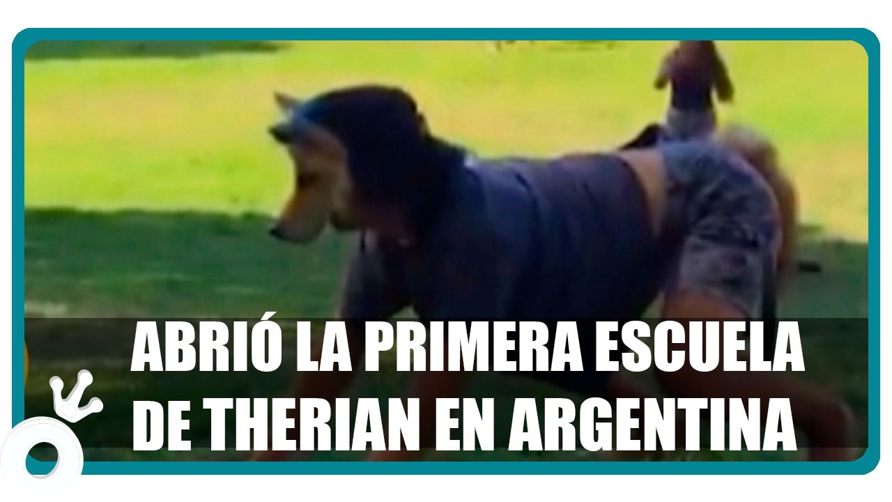 Todo sobre la comunidad Therian y los 