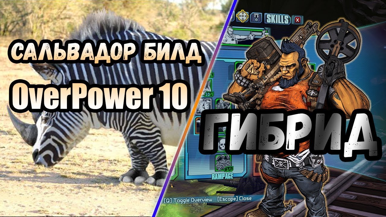 Borderlands 2 | Сальвадор. Билд на 80+OP10 | Гибрид