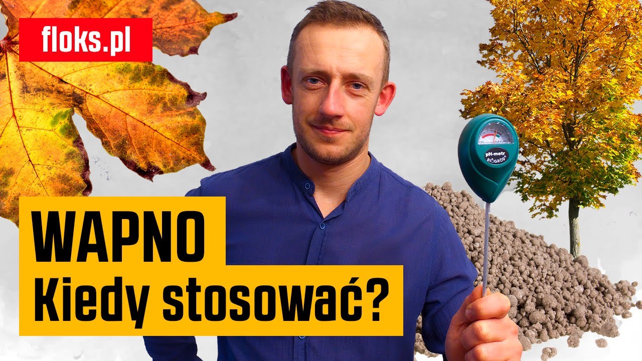 Kiedy stosować wapno ogrodowe? | Floks.pl