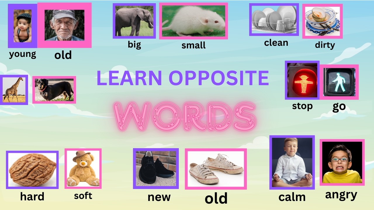 Opposite Words for Kids | English Vocabulary for Beginners