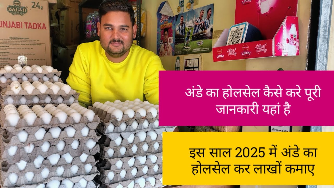 Egg wholesale business idea | अंडे का होलसेल | Egg rate 2025
