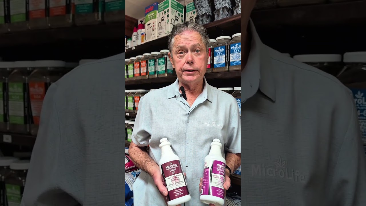 The best alternative to chemical fungicides!