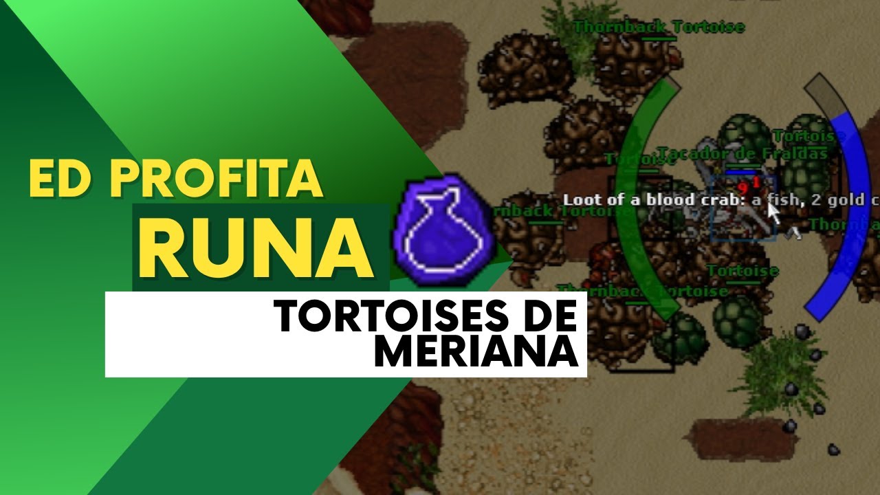 Runa Gut nas Tortoise