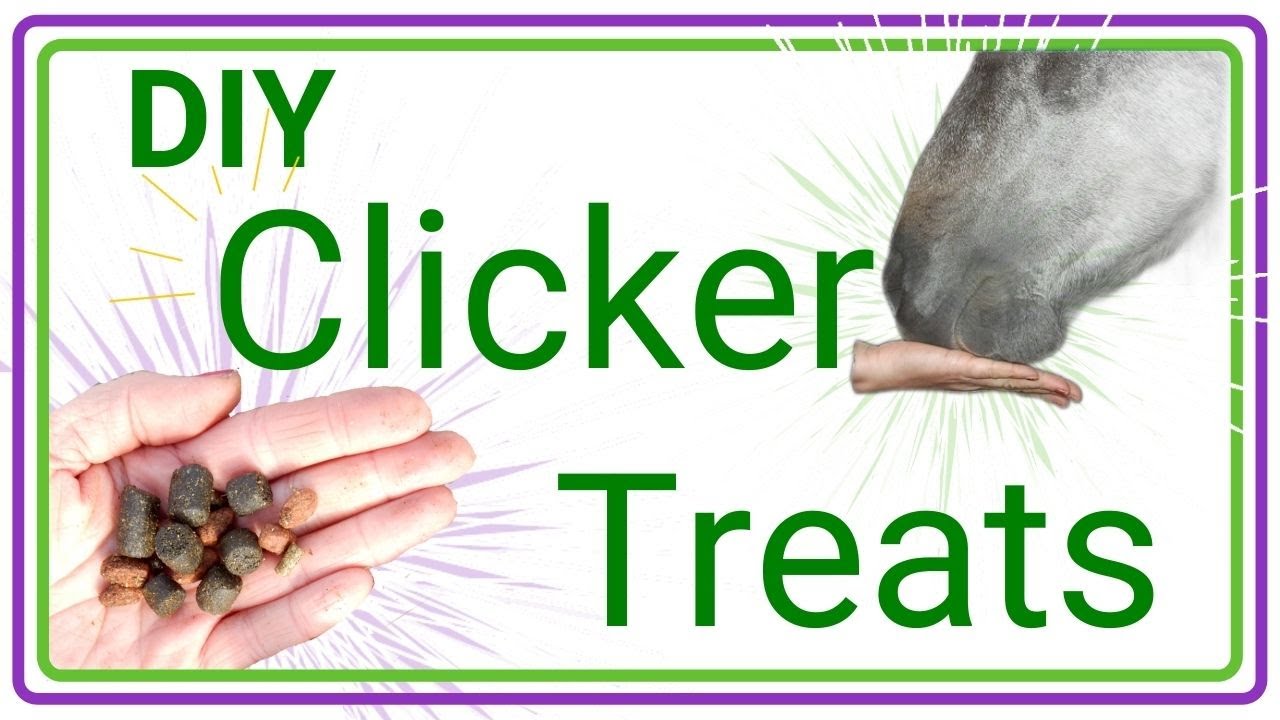 Easy DIY healthy horse treats recipe - No Molasses or Sugar!