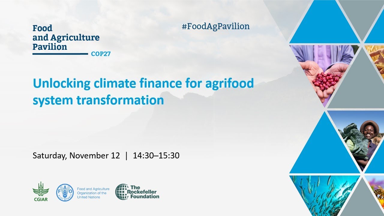 Unlocking climate finance for agrifood system transformation