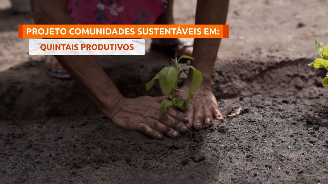 Inovação na Prática - Quintais Produtivos