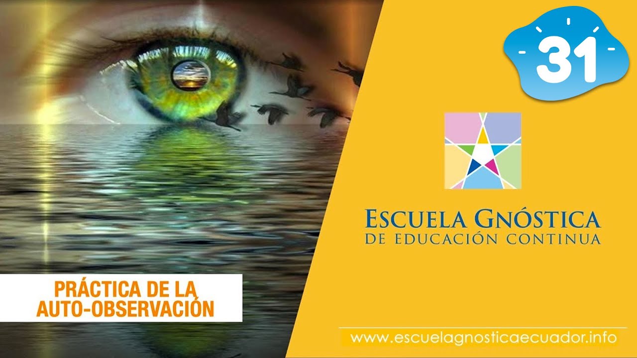 Pr&aacute;ctica de la Auto-Observaci&oacute;n